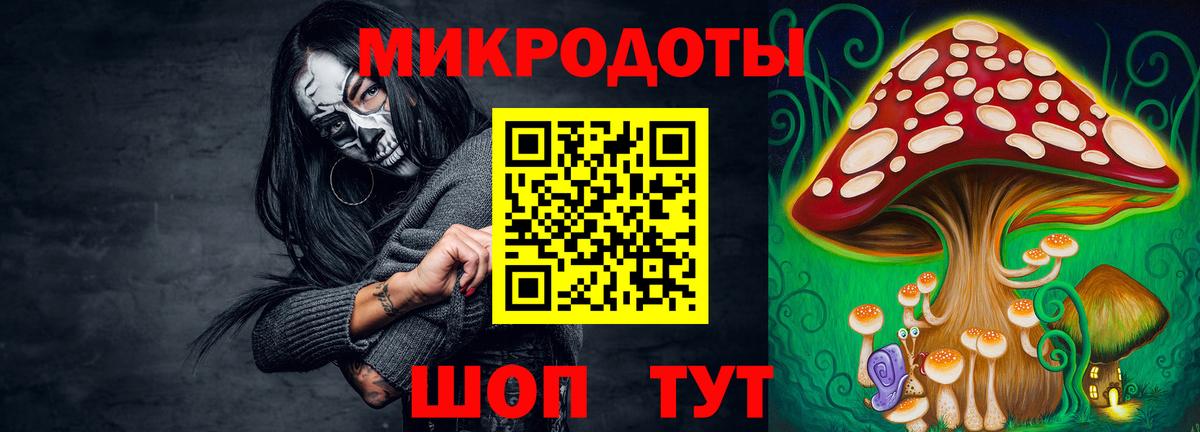Гусиноозёрск  Галлюциногенные грибы Psilocybe  Вход с VPN 